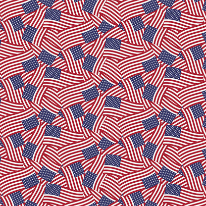 US Flag